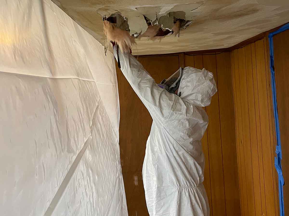 Biohazard Cleanup & Sanitization